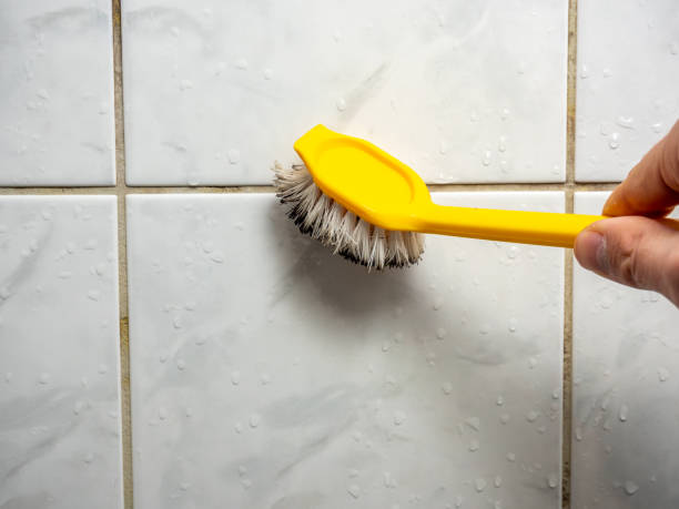 Best Mold Cleaning Services  in Morganfield, KY