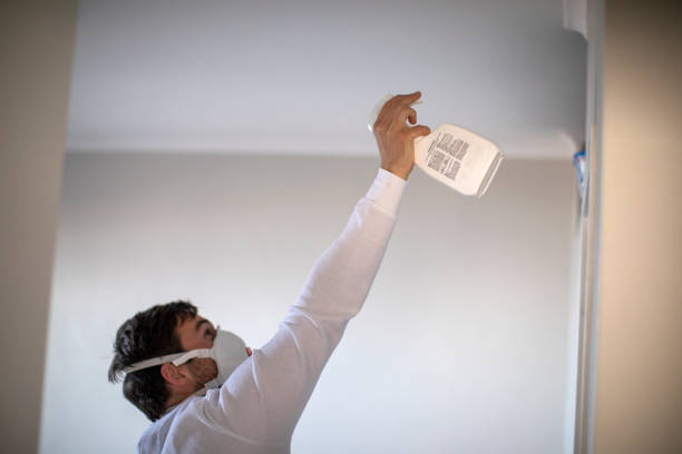 Best Toxic Mold Removal  in Morganfield, KY