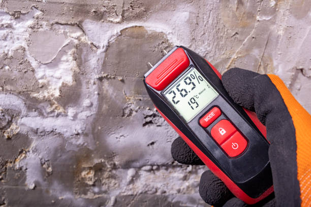 Office Mold Removal Services in Morganfield, KY