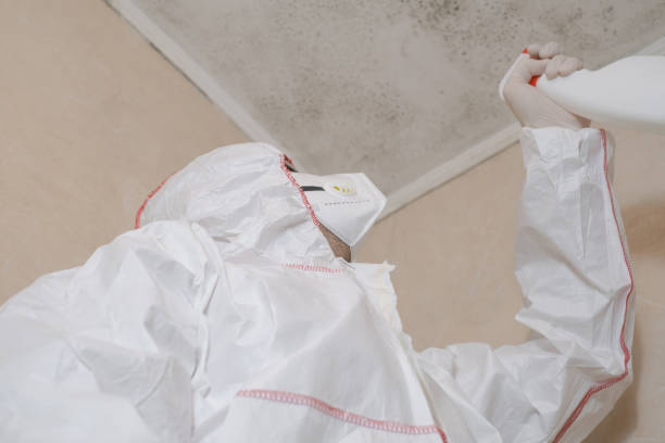 Best Mold Remediation  in Morganfield, KY