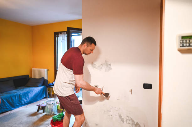 Attic Mold Removal in Morganfield, KY